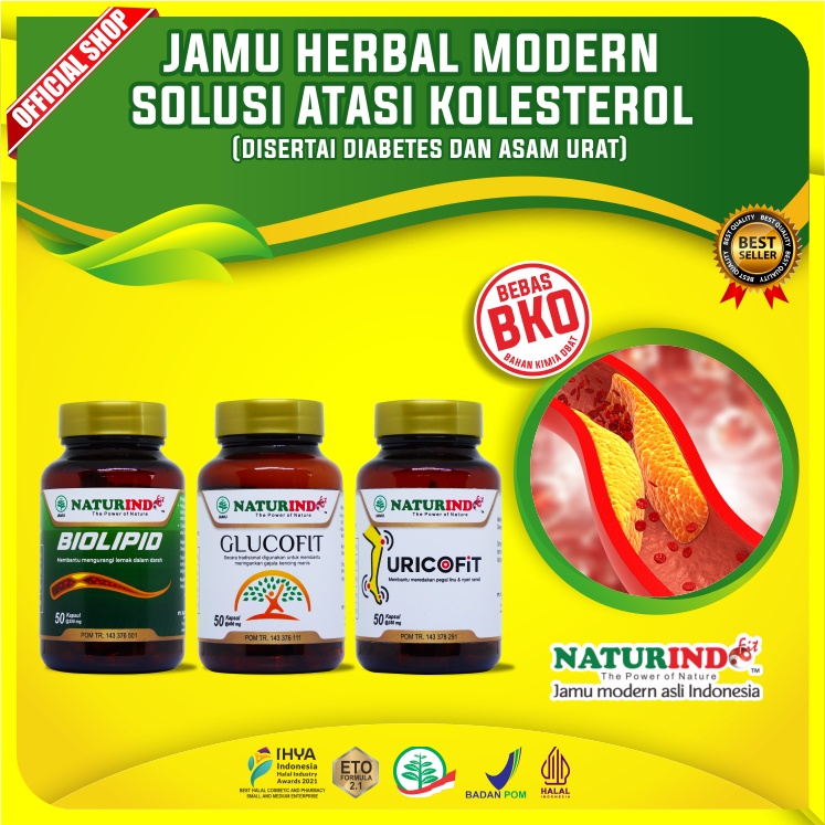 Jual Obat Kolesterol Tinggi Herbal Obat Kolestrol Alami Manjur Biolipid ...