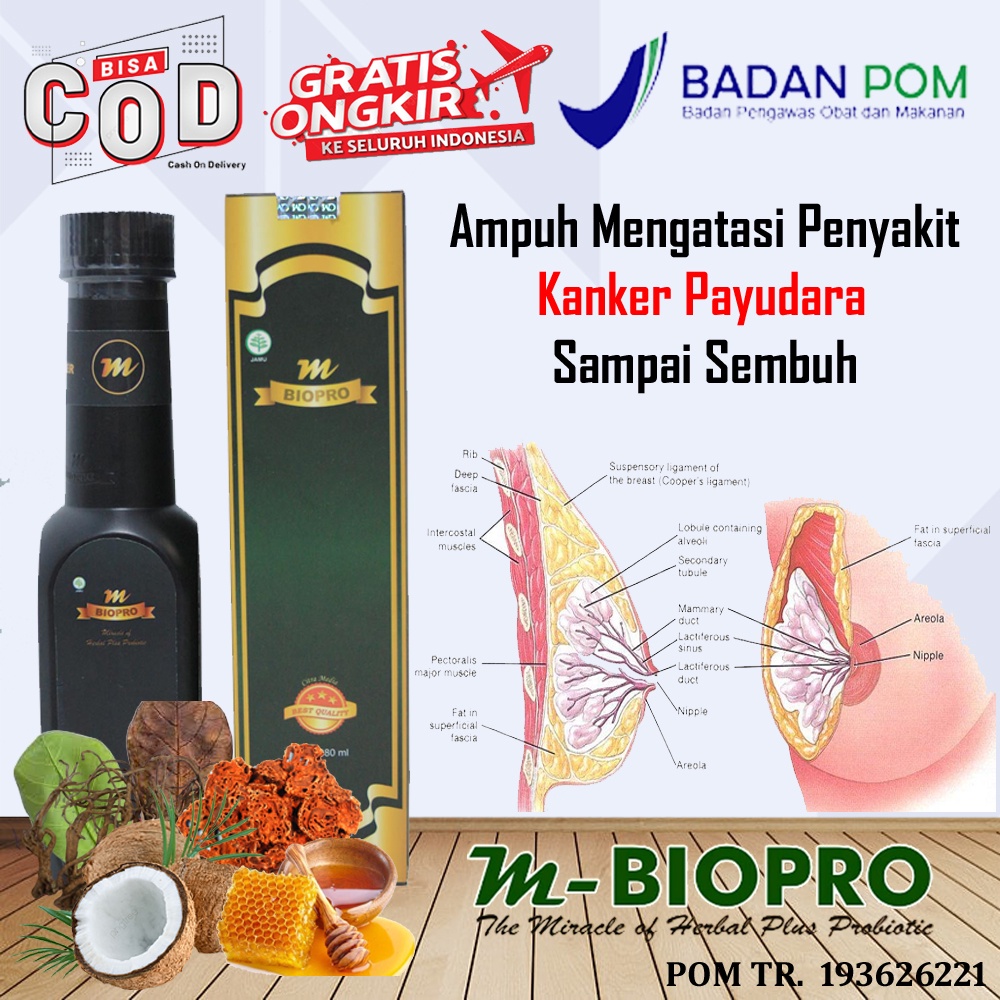 Obat Kanker Payudara Paling Ampuh Kanker Serviks Kanker Stadium 1 2 3 4 - Mbiopro Herbal Alami Tanpa Efek Samping