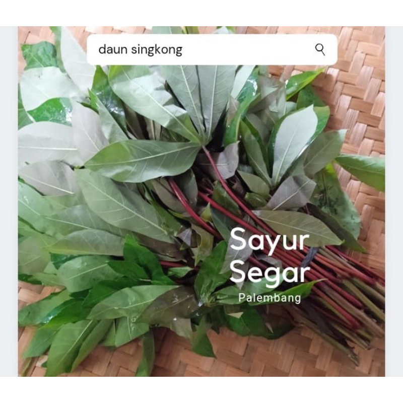 Jual Daun Singkong Per Ikat Sayur Segar Palembang Shopee Indonesia 7064