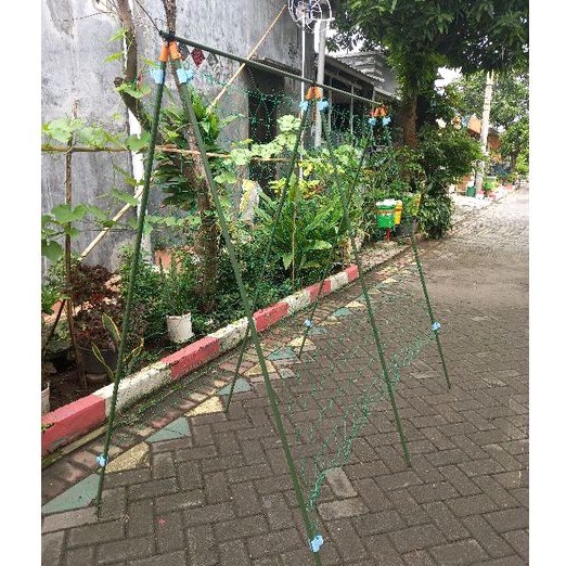 Jual Penyangga Anggur Easy A Frame Set TS180cm | Shopee Indonesia