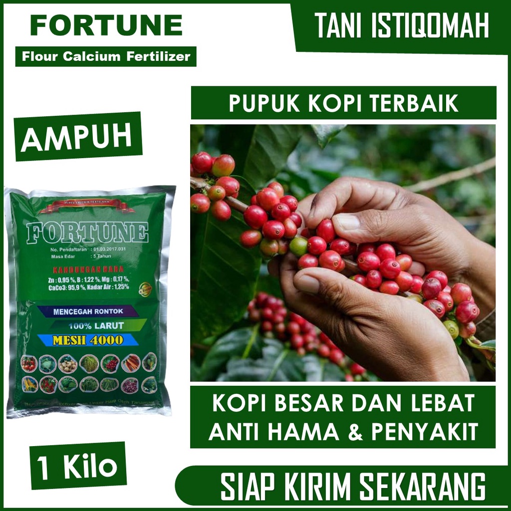 Jual ASLI MANJUR PUPUK KOPI TERBAIK ISI 1 KILO PUPUK FORTUNE ANTI