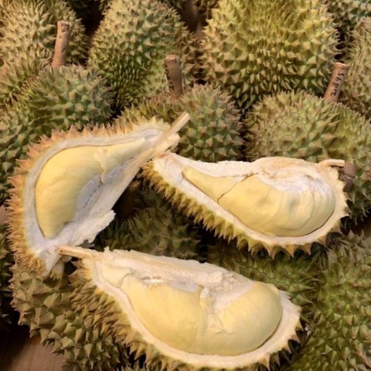 Ada Berapa Jenis Durian Montong? Nomor 3 Paling Banyak Dicari!