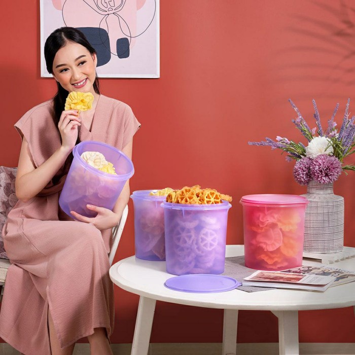Jual TUPPERWARE MIDI CANISTER TOSKA TOPLES KERUPUK BESAR | Shopee Indonesia