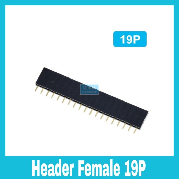 Jual Header Female 1x19 Pin 2.54mm Single Row Lurus 1x19p for ESP-32 ...