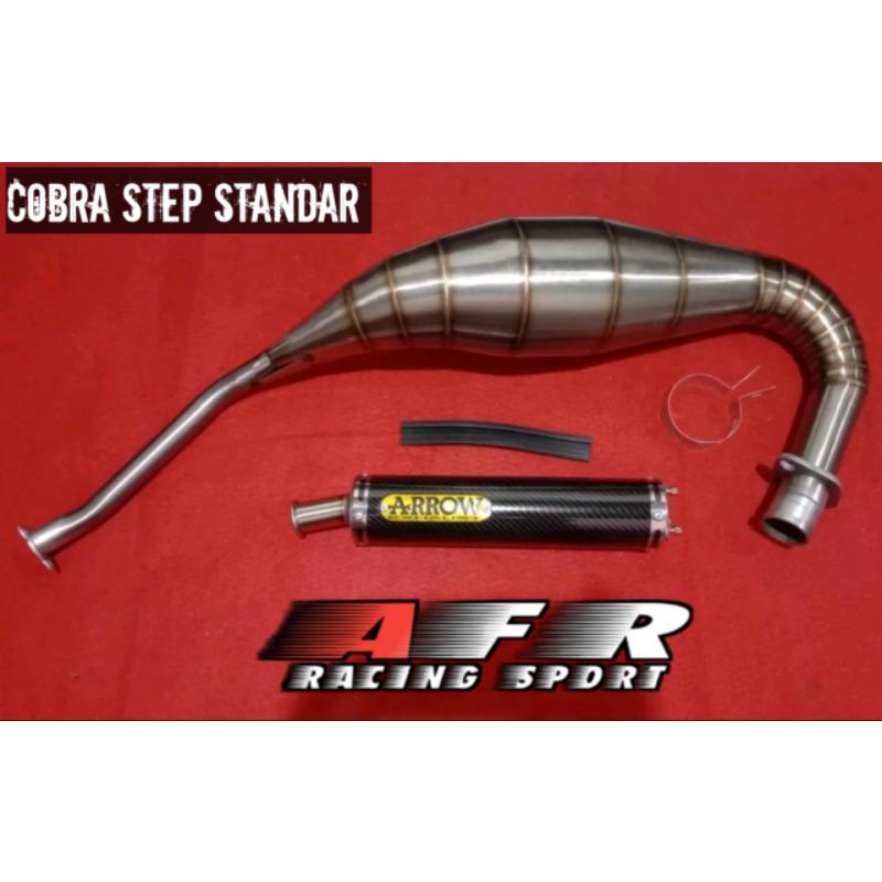Jual Knalpot Ninja R SS Ninja RR ARROW karbon Cobra step standar ...