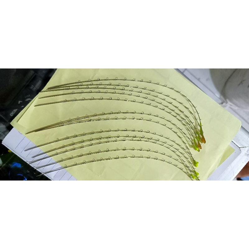 Jual ENTUL WIPER SUPER WADER ENTUL NELEM ENTUL LENTUR MANCING ENTUL ...