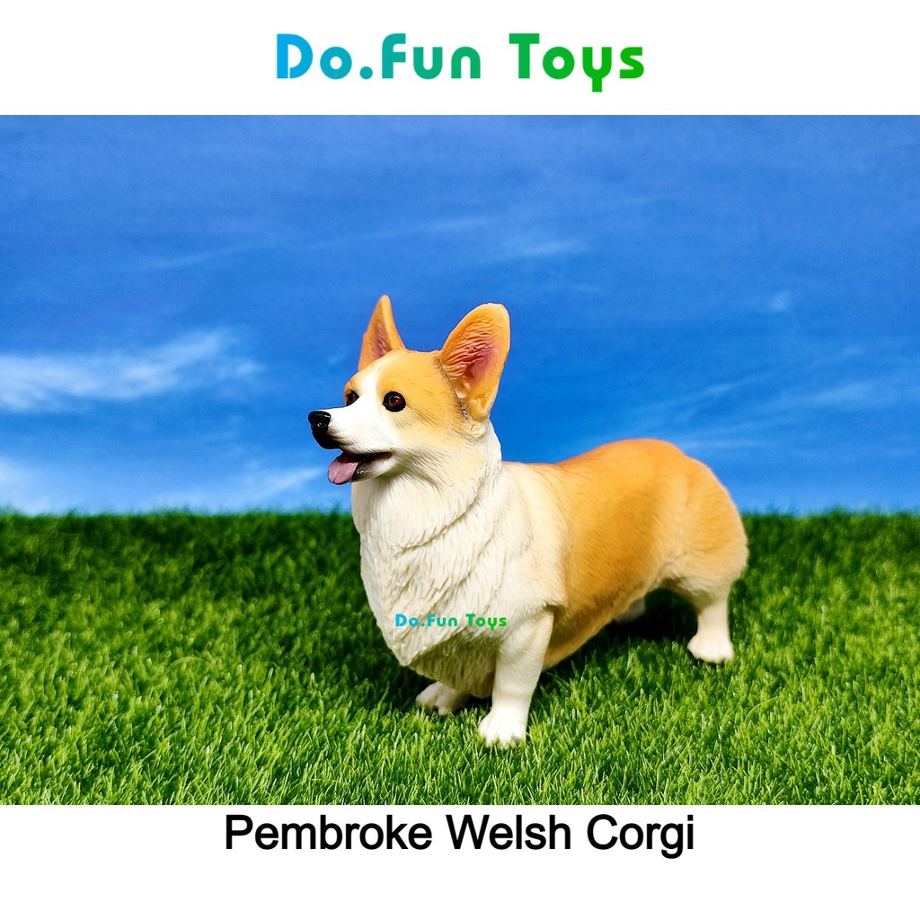 Anjing store welsh corgi