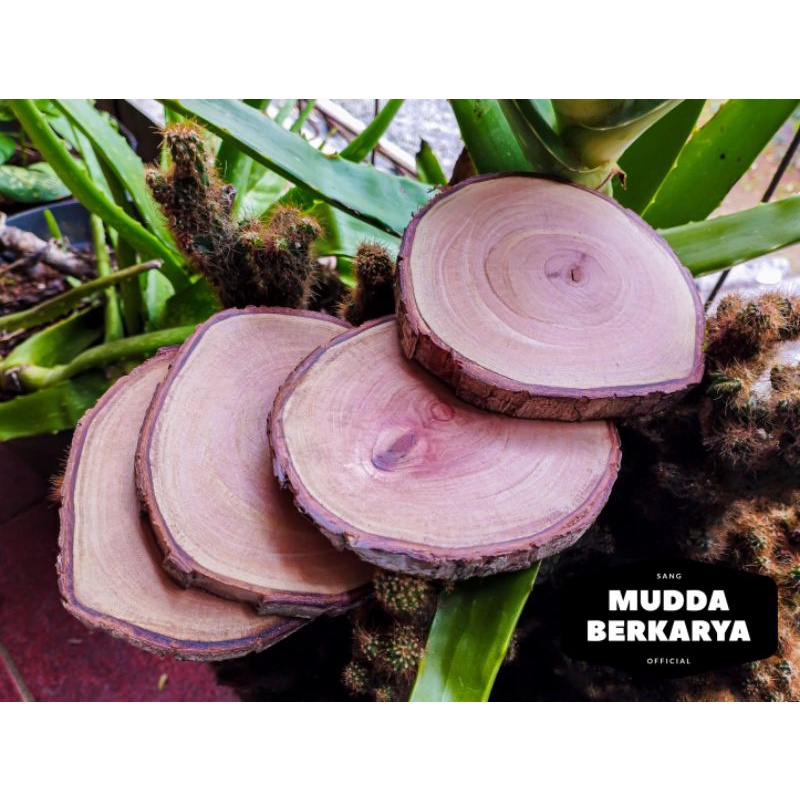 Jual Coaster Tatakan Gelas Bambu Gelas Kayu Alas Gelas Bambu Kayu