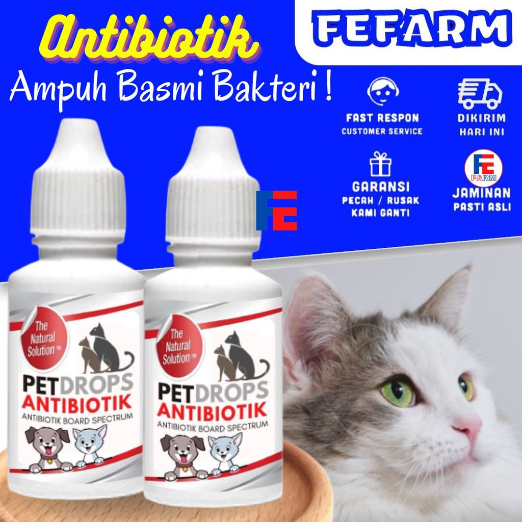 Jual Pet Drops 20ml Obat Antibiotik Kucing Cat Kitten Fefarm Shopee