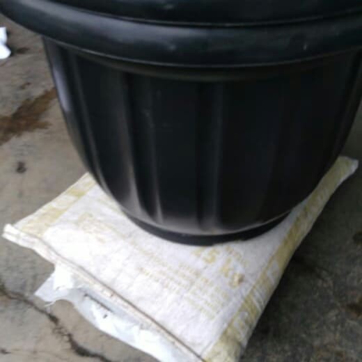Jual Poo Pot Ukuran 60 Cm | Shopee Indonesia