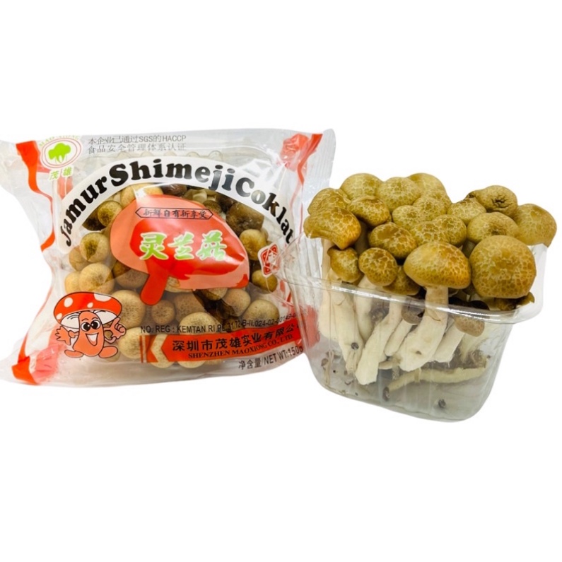 Jual Jamur shimeji coklat /jamur shimeji putih 150 gram Shopee Indonesia