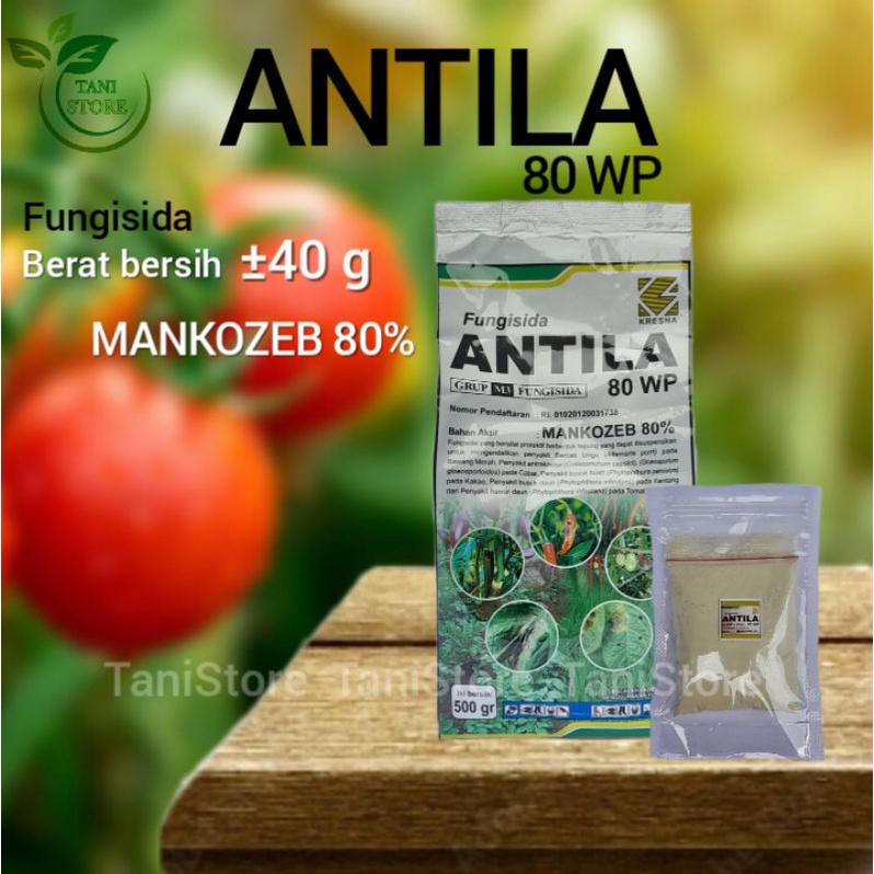 Jual Fungisida ANTILA 80WP (40 Gram) | Shopee Indonesia