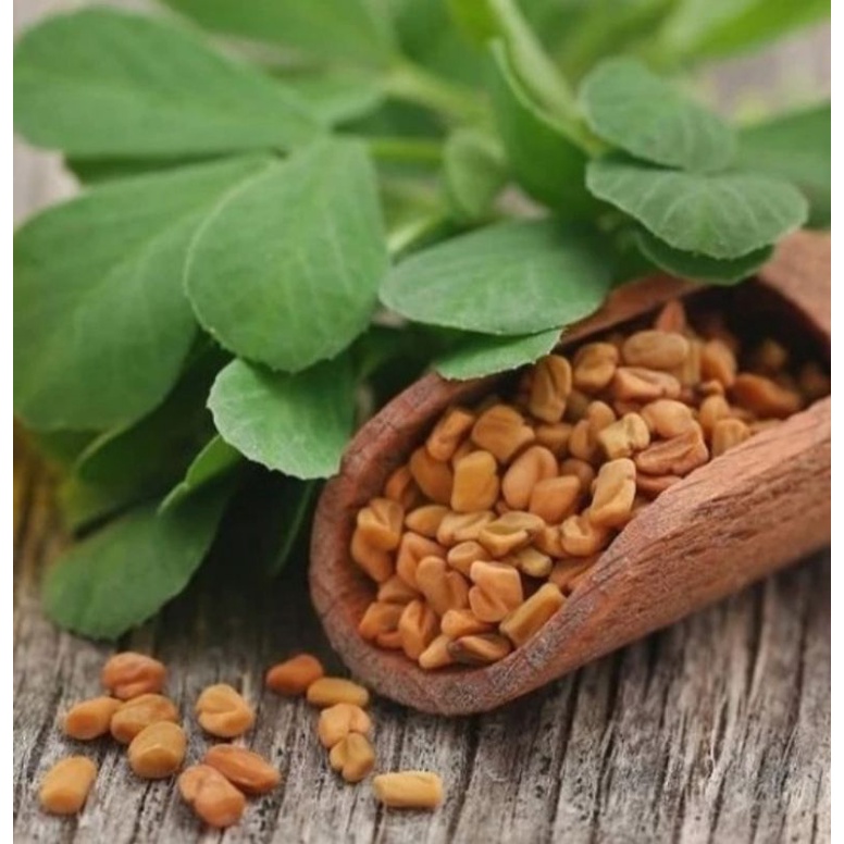 Jual Halba - Klabat - Fenugreek - Methi Dana 100 gram | Shopee Indonesia