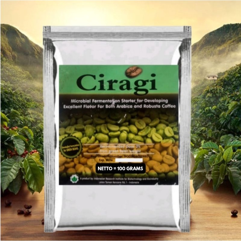 Jual CIRAGI Ragi Fermentasi Biji Kopi Robusta Arabica | Shopee Indonesia