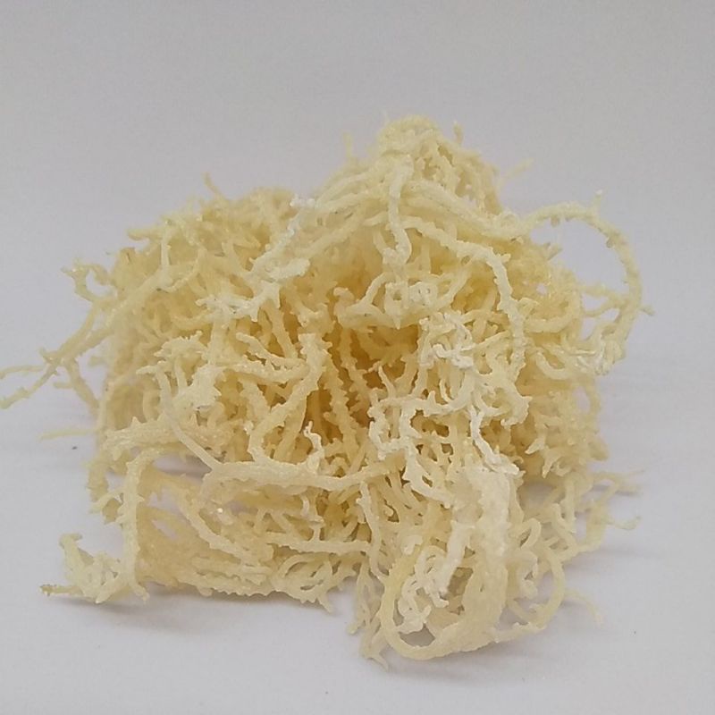 Jual Rumput Laut Untuk Es Agar agar Kering Putih | Shopee Indonesia