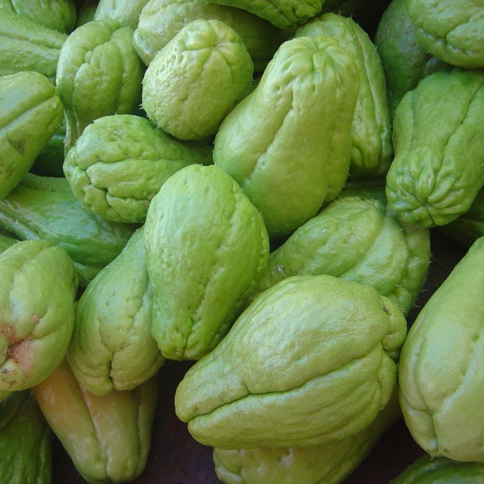 Jual labu siam segar sayur pasar online makassar | Shopee Indonesia