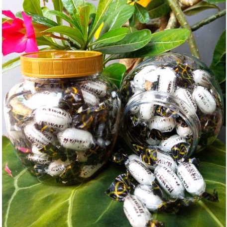 Jual PERMEN HAWAI COKLAT MINT TOPLES CANTIK ISI 60 pcs| permen jadul ...