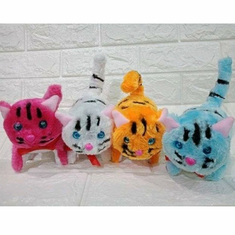 KUCING MEONG KTG B/O C4/2286
