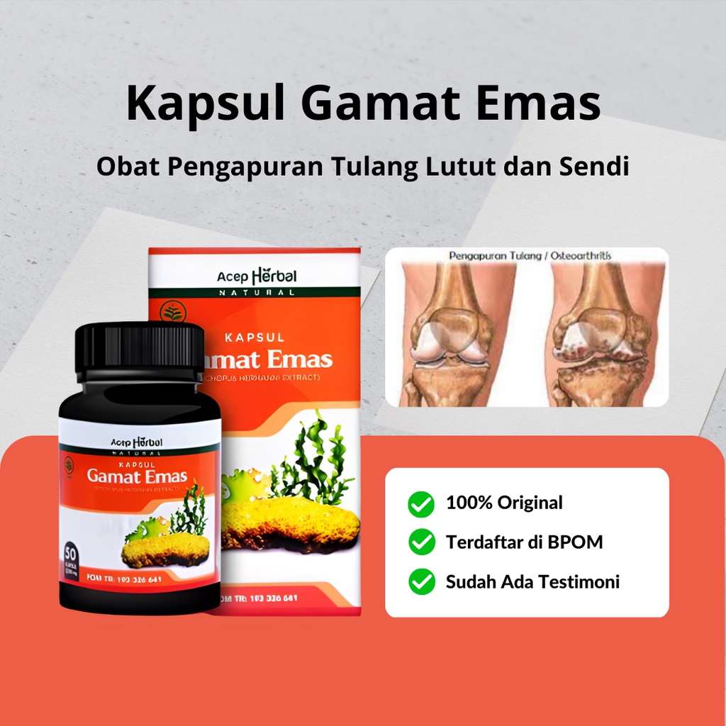 Jual Kapsul Gamat Emas - Obat Pengapuran Tulang Lutut dan Sakit Sendi