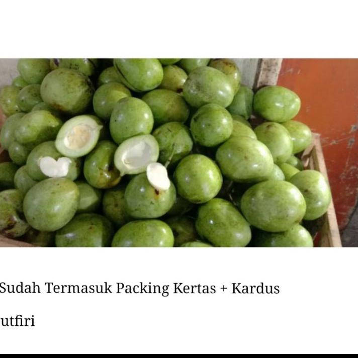 Jual Star Mangga Telor Atau Telur Muda Mentah 1 Kg Belah Biji Asem