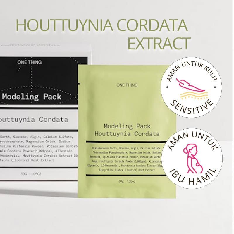 Jual One Thing Houttuynia Cordata Modeling Pack | 1 bungkus masker ...