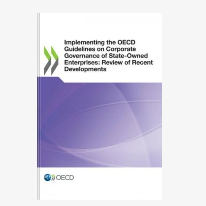 Jual Implementing the OECD Guidelines on Corporate | Shopee Indonesia
