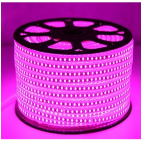 Jual LAMPU LED STRIP SELANG SMD 5050 100M 100 METER / LAMPU PLAFON ...