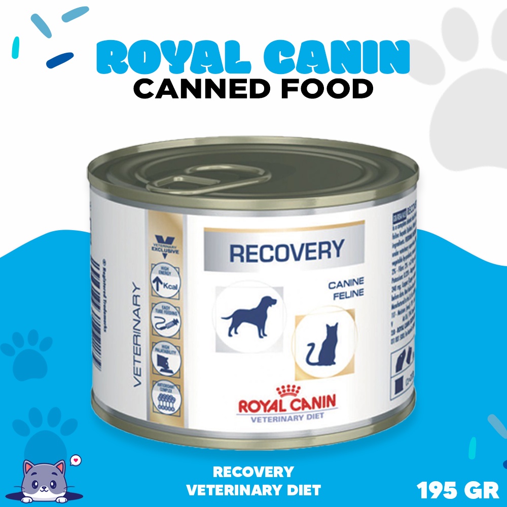 Jual ROYAL CANIN CANNED RECOVERY Makanan Kaleng Kucing Shopee Indonesia