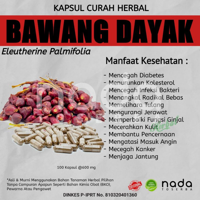 Jual Kapsul Bawang Dayak Kapsul Curah Herbal Herbal Jantung Kolesterol Dan Ginjal Shopee