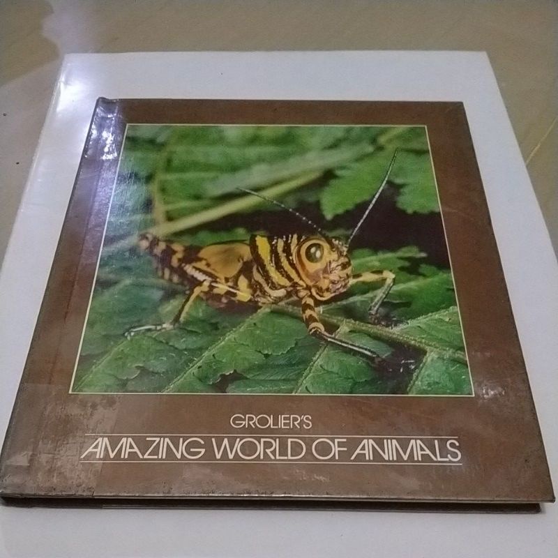 Jual BUKU IMPORT GROLIER'S AMAZING WORLD OF ANIMALS 14 INSECTS