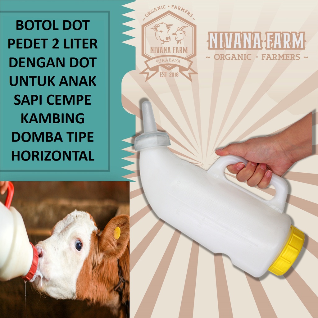 Jual Botol Dot Pedet 2 Liter Dengan Dot Untuk Anak Sapi Cempe Kambing