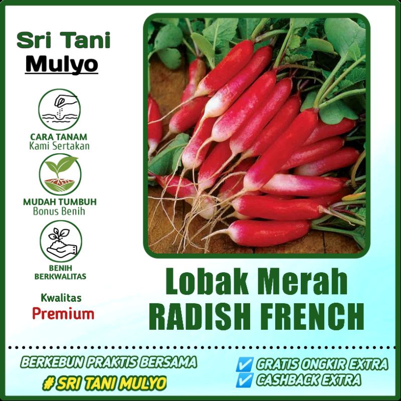 Jual 20 Benih Lobak Merah Radish French Breakfest Bibit Tanaman Sayur