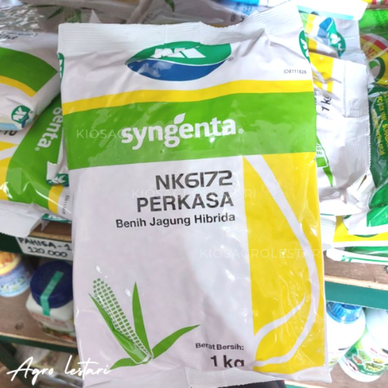 Jual BENIH JAGUNG HIBRIDA NK6172 PERKASA 1KG | Shopee Indonesia