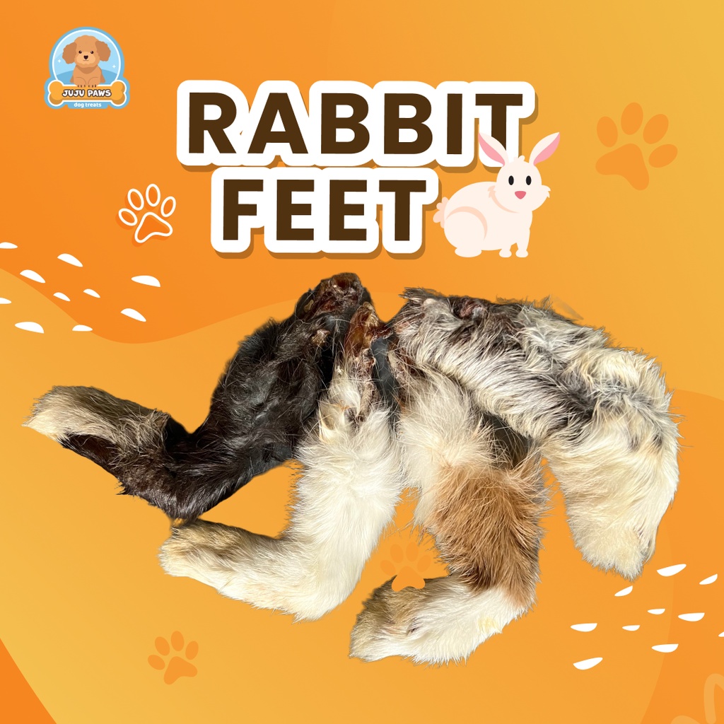 Jual jujupaws kaki kelinci / rabbit feet | Shopee Indonesia