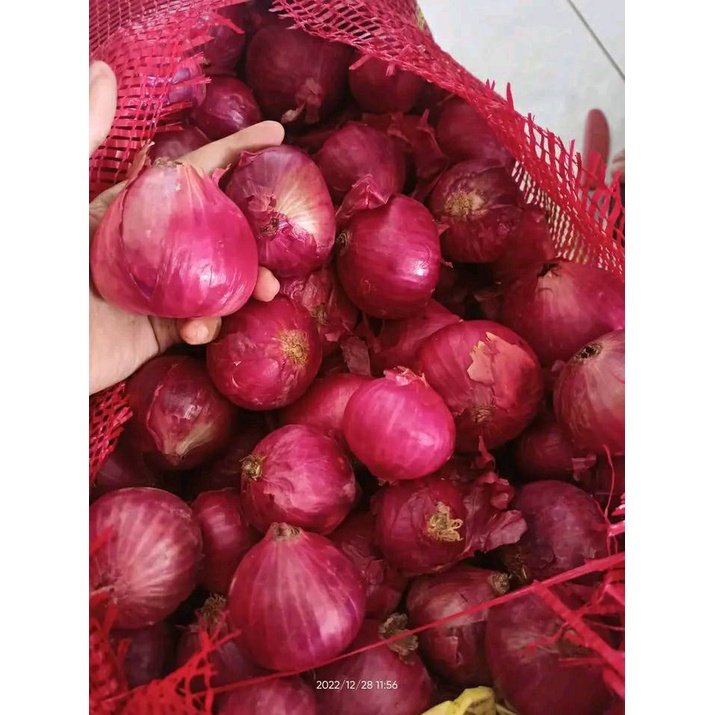 Jual Bawang Merah Peking Segar Alami 1kg Shopee Indonesia