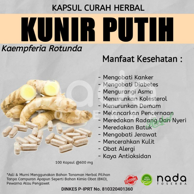 Jual Kapsul Kunyit Putih Kunir Putih 100 Kapsul Herbal Curah Herbal Radang Dan Alergi 2056