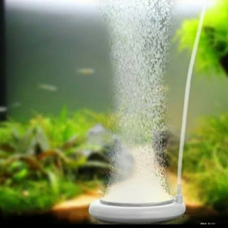 Jual Nano Bubble Diffuser diameter 15 cm Batu Aerator Aerasi Nano ...
