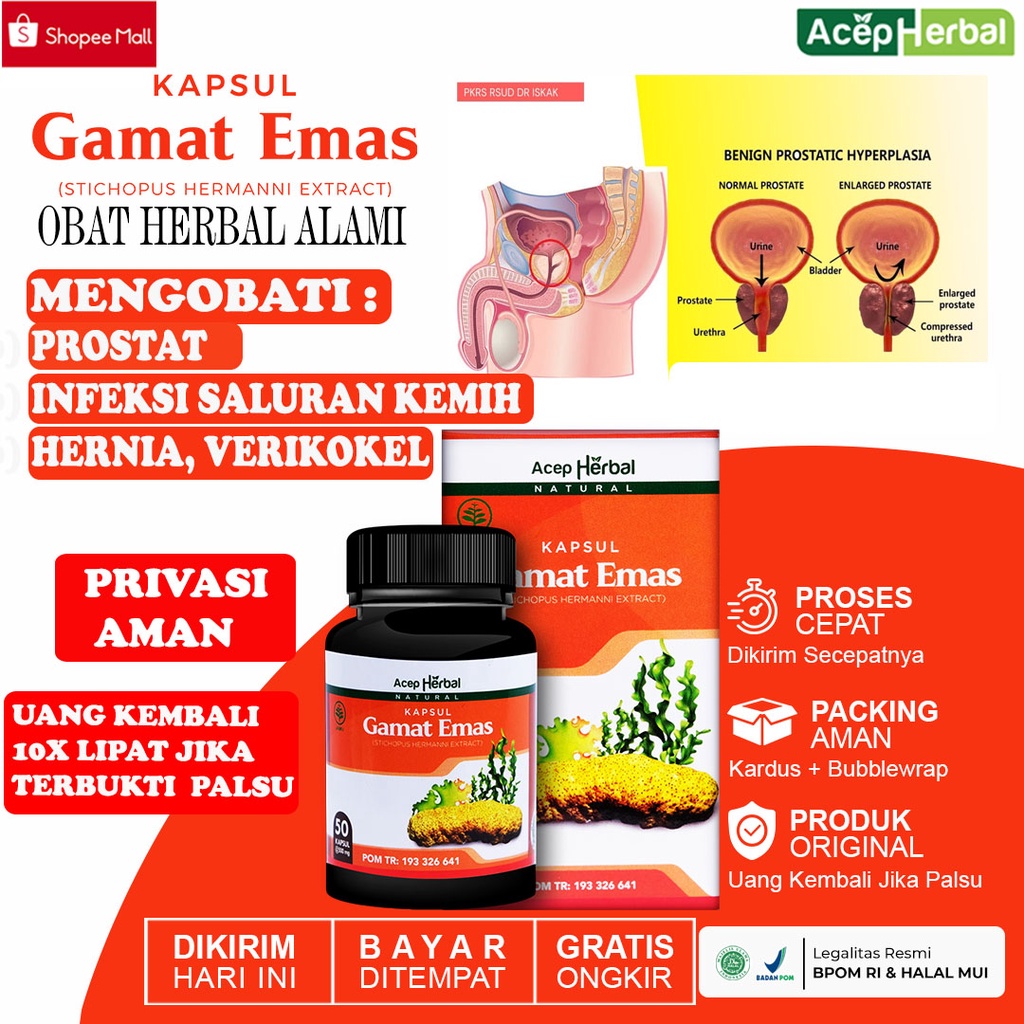 Jual Obat Prostat Kanker Prostat Jinak Infeksi Saluran Kemih Kencing