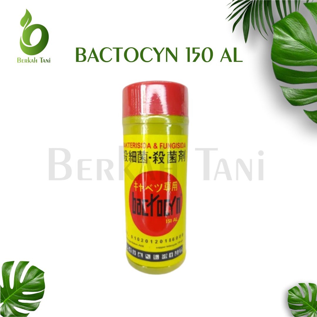Jual BACTOCYN 150AL 200ML ORIGINAL Fungisida Obat Pencegahan dan ...