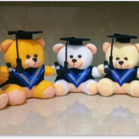 Jual Produk Terbaru Boneka Teddy Bear Boneka Wisuda Teddy Bear Boneka ...
