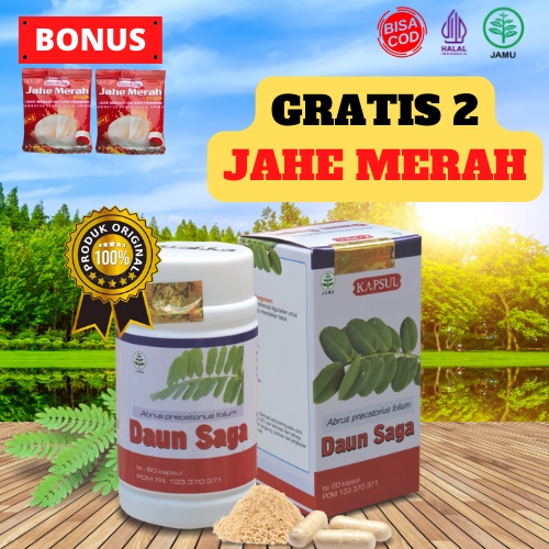 Jual Obat Batuk Sariawan Dan Radang Tenggorokan Herbal Kapsul Daun