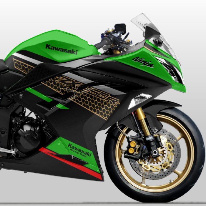 Jual Decal Striping Sticker Kawasaki Ninja 250 Fi Motif Zx25 | Shopee