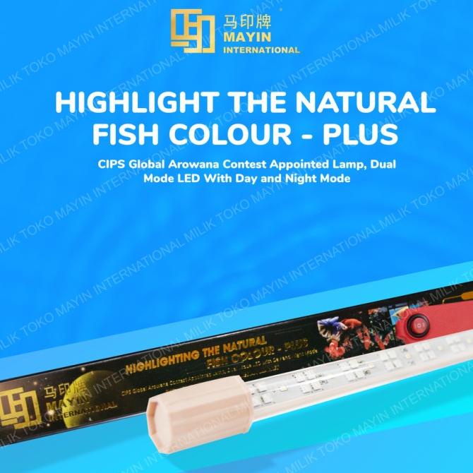 Jual Lampu Led Mayin Plus Aquarium Ikan Arowana 142 Cm | Shopee Indonesia