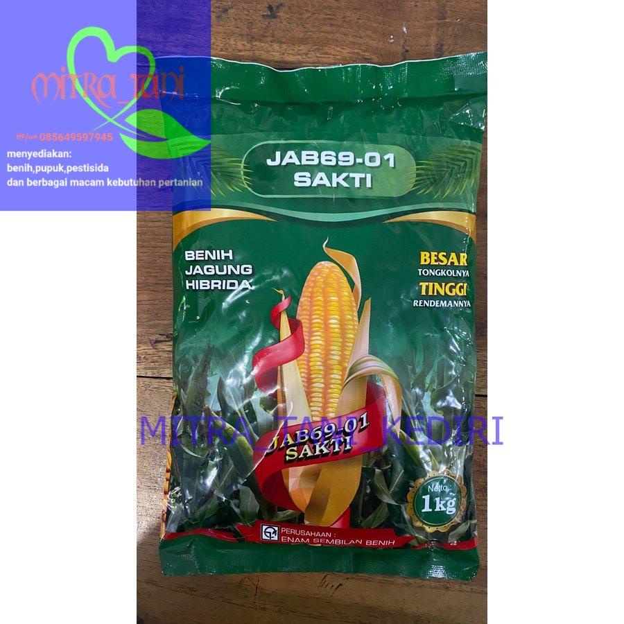 Jual Benih Jagung Hibrida JAB 69-01 SAKTI Isi 1kg Dari ENAM SEMBILAN ...