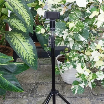Tripod Hp 2 Meter Free Holder Hp