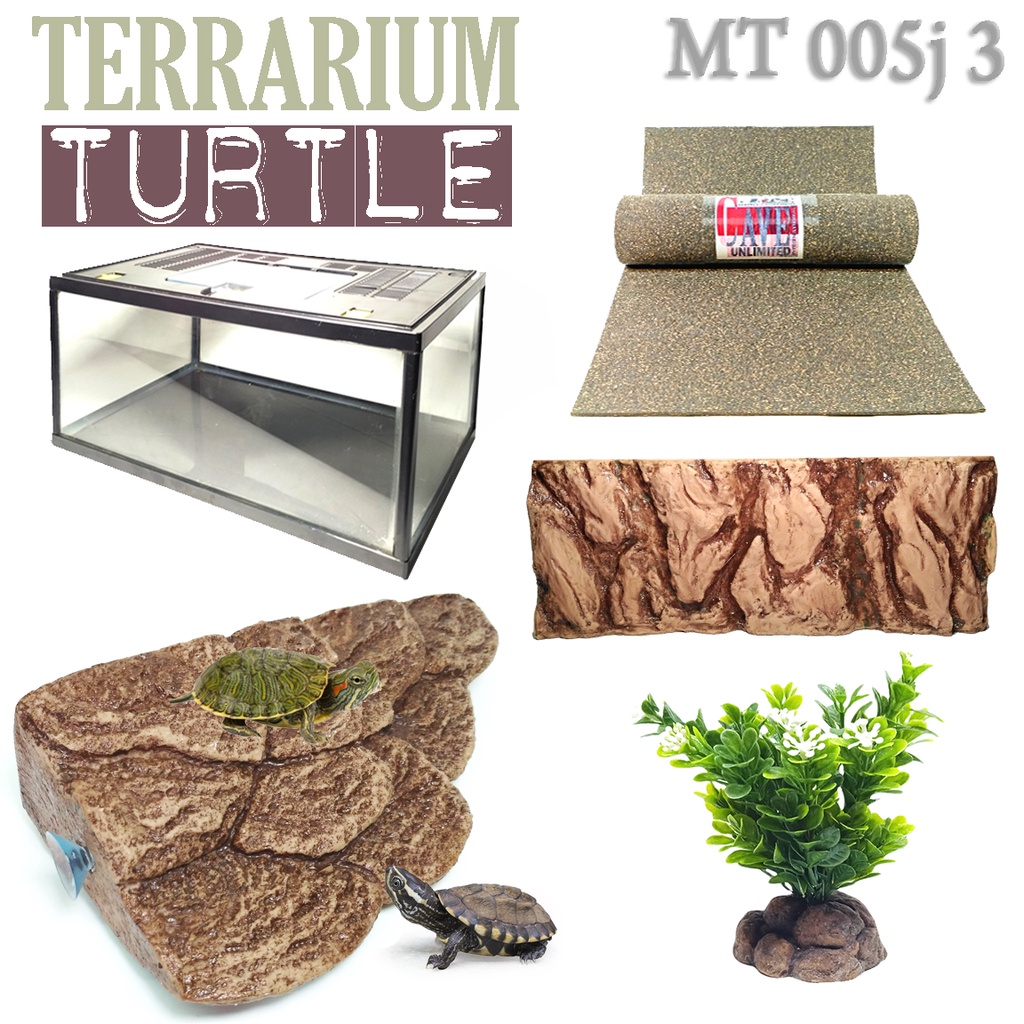 Jual MT005J3 PAKET FULL SET TERRARIUM AQUARIUM TURTLE KURA KURA AIR RES ...