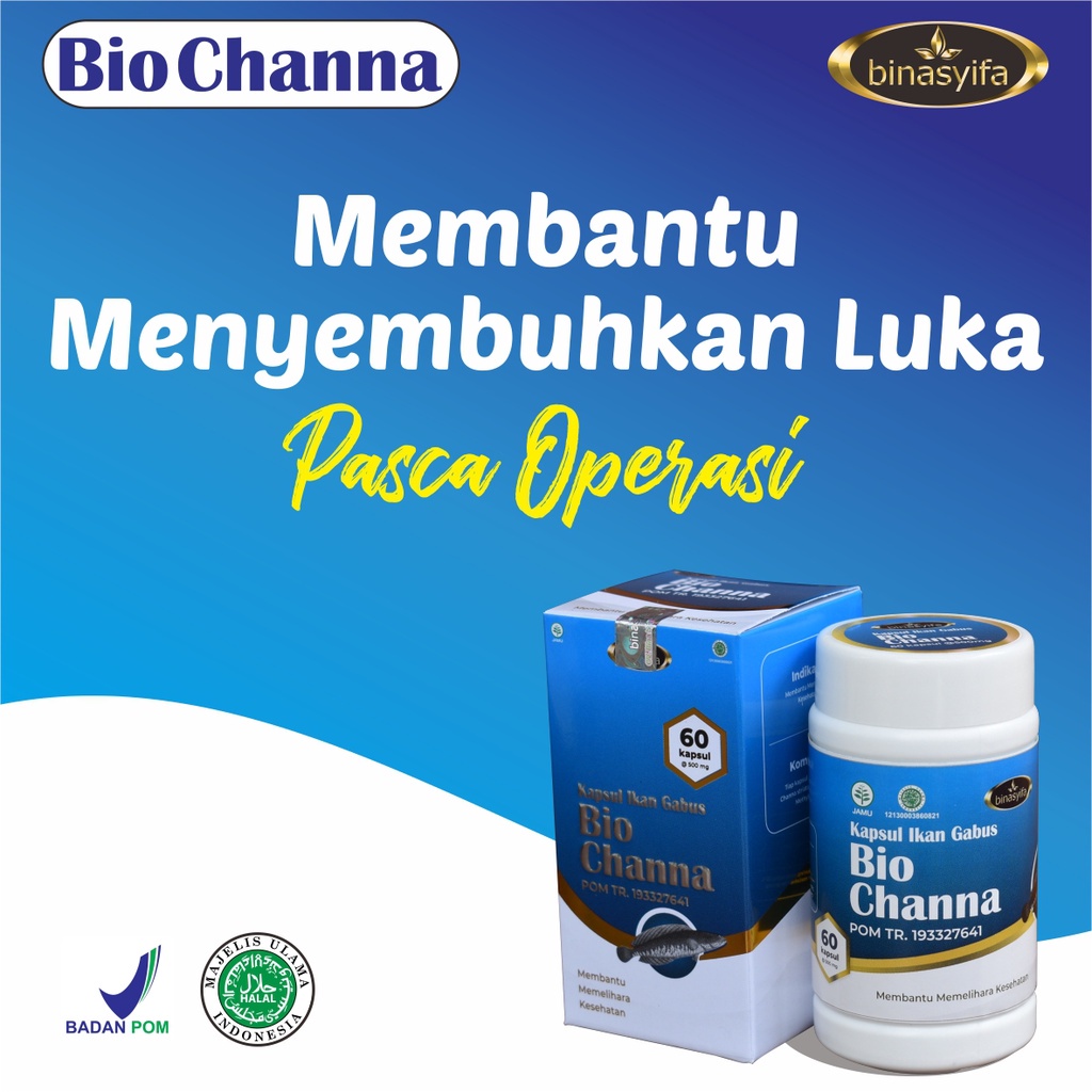 Jual BIOCHANNA Kapsul Kutuk Premium KUTUK IKAN 60 Kapsul GABUS KAYA ...