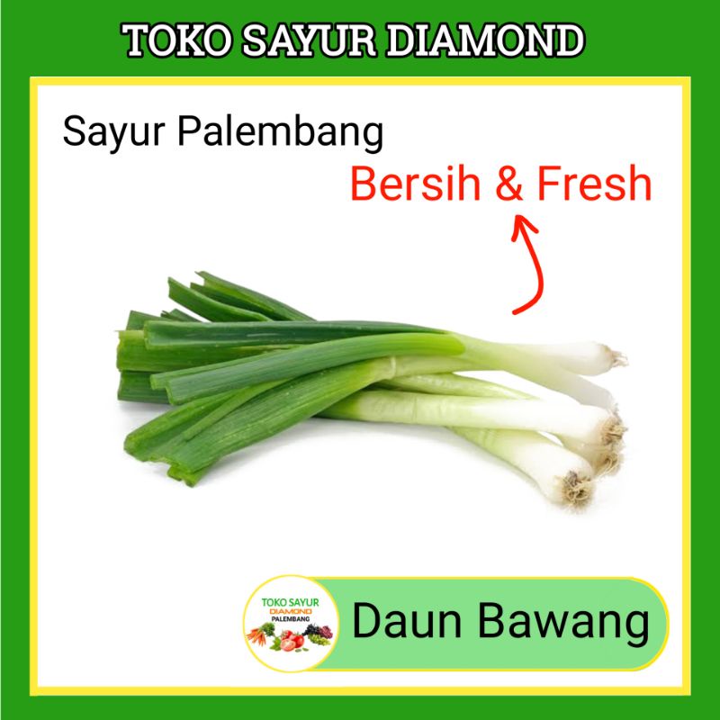 Jual Daun Bawang Palembang Shopee Indonesia