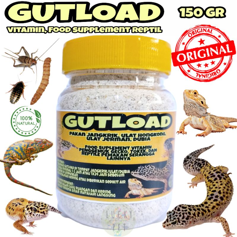 Jual [150 GR BOTOL] GRATIS WADAH GUTLOAD ESSENTIAL PAKAN SUPLEMENT ...