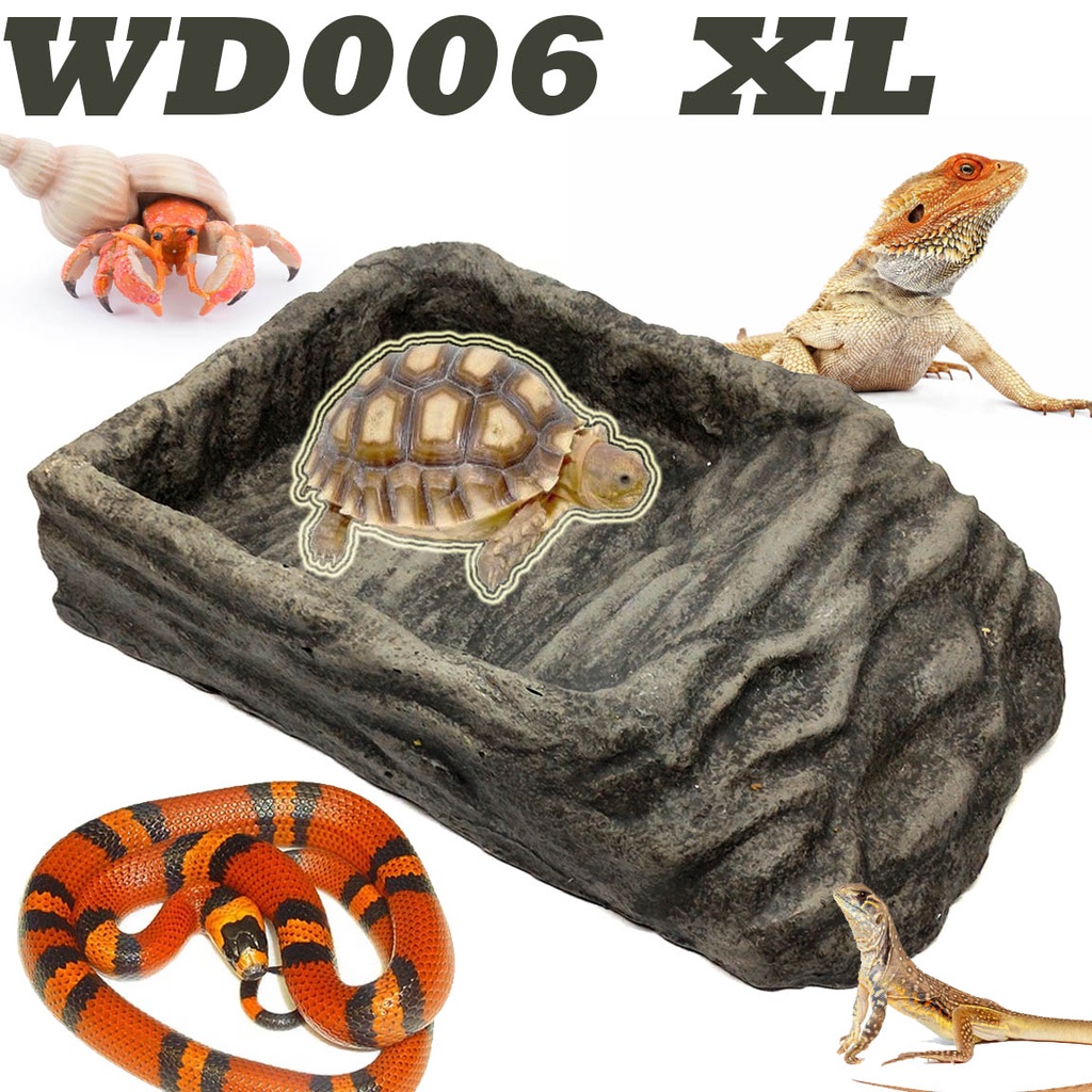 Jual WD006 RAMP BOWL WATER FEEDING DISH TEMPAT BERENDAM TORTOISE ...